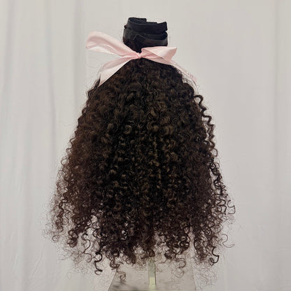 Clip-ins (Wavy, Curly, Coily)