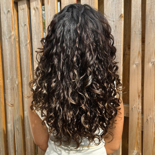 Clip-ins (Wavy, Curly, Coily)